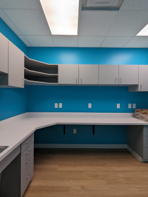 Commercial Cabinet Refinishing in Winston-Salem, North Carolina